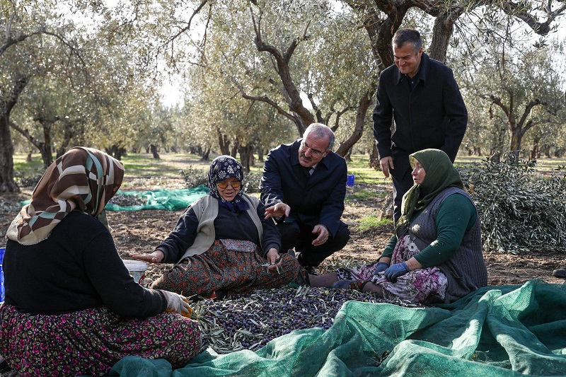 Valimiz Doç. Dr. Ömer TORAMAN, Ezine İlçesinde Bulunan Zeytinyağı Fabrikalarını Ziyaret Etti